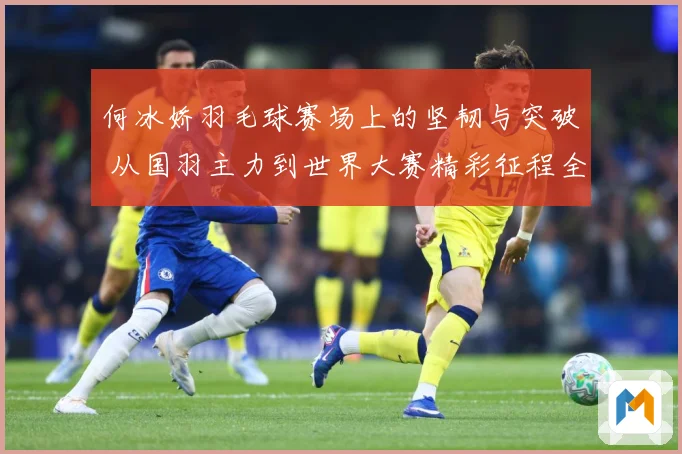 何冰娇羽毛球赛场上的坚韧与突破 从国羽主力到世界大赛精彩征程全景回顾