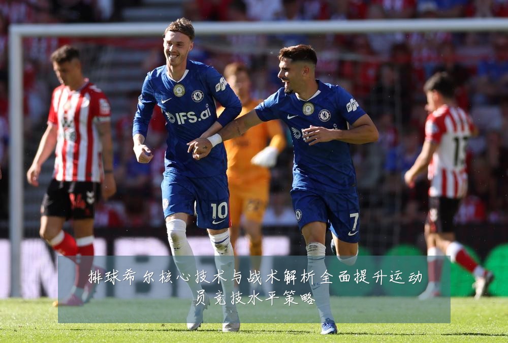 排球希尔核心技术与战术解析全面提升运动员竞技水平策略